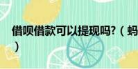借唄借款可以提現嗎?(螞蟻借唄可以提現嗎)