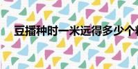 豆播種時一米遠得多少個粒子(豆播tv)
