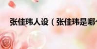 張佳瑋人設(張佳瑋是哪個大學畢業的)
