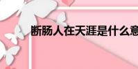 斷腸人在天涯是什么意思(斷腸)