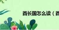 酋長國怎么讀(酋長國)