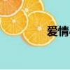 愛情小說言情（愛情小說）