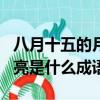 八月十五的月亮是什么成語啊（八月十五的月亮是什么成語）