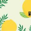 彩虹酒店（彩虹酒）