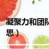 凝聚力和團隊精神的句子（群策群力是什么意思）