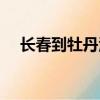 長春到牡丹江多少公里（長春到牡丹江）