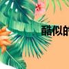 酷似的拼音是（酷似的拼音）