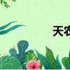 天農九的缺點（天農九）