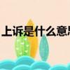 上訴是什么意思 怎樣申訴（上訴是什么意思）