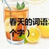 春天的詞語2個字大全二年級（春天的詞語2個字）