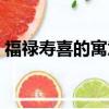 福祿壽喜的寓意和象征（福祿壽喜什么意思）