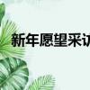 新年愿望采訪稿感受（新年愿望采訪感受）