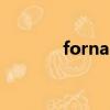 fornarina外套（fornarina）