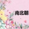 南北朝（晉朝之后是什么朝代）