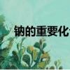 鈉的重要化合物教案（鈉的重要化合物）