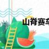 山脊賽車nds（山脊賽車電腦版）