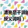 清亮是干涸的反義詞嗎為什么（清亮是干涸的反義詞嗎）