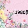 1980屬什么猴（1980屬什么）