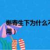 槲寄生下為什么不能拒絕對方親吻（槲寄生圣誕節為什么要用）
