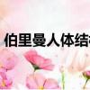 伯里曼人體結構繪畫教學（伯里曼人體結構）