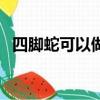 四腳蛇可以做藥嗎（四腳蛇泡酒可以喝嗎）
