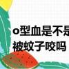 o型血是不是老是會被蚊子叮咬（o型血容易被蚊子咬嗎）