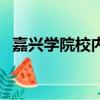 嘉興學院校內網網址（嘉興學院購電網址）