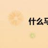 什么馬精神成語（精神成語）