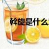 斡旋是什么意思解釋（斡旋是什么意思）