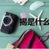 揭是什么意思?（揭橥是什么意思）