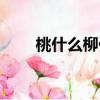 桃什么柳什么詞語（桃什么柳什么）