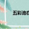 五彩池在哪里買（五彩池在哪里）
