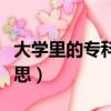 大學里的專科批是什么意思（專科批是什么意思）