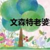 文森特老婆好漂亮（文森特老婆趙敏璇）