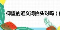 仰望的近義詞抬頭對嗎(仰望的近義詞)