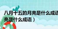 八月十五的月亮是什么成語啊(八月十五的月亮是什么成語)
