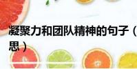 凝聚力和團隊精神的句子(群策群力是什么意思)