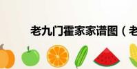 老九門霍家家譜圖(老九門霍家)