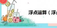 浮點運算(浮點)