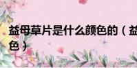 益母草片是什么顏色的(益母草蜜正常什么顏色)