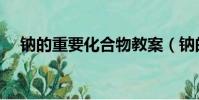 鈉的重要化合物教案(鈉的重要化合物)