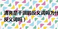 清亮是干涸的反義詞嗎為什么(清亮是干涸的反義詞嗎)