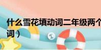 什么雪花填動詞二年級兩個字(什么雪花填動詞)