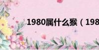 1980屬什么猴(1980屬什么)