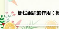 柵欄組織的作用(柵欄組織)