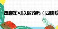 四腳蛇可以做藥嗎(四腳蛇泡酒可以喝嗎)