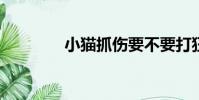 小貓抓傷要不要打狂犬疫苗