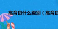 高育良什么級別(高育良犯了什么罪)