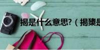 揭是什么意思?(揭橥是什么意思)