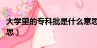 大學里的專科批是什么意思(專科批是什么意思)